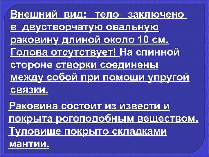 Внешний вид:  тело  заключено  в двустворчатую овальную раковину длиной около 10