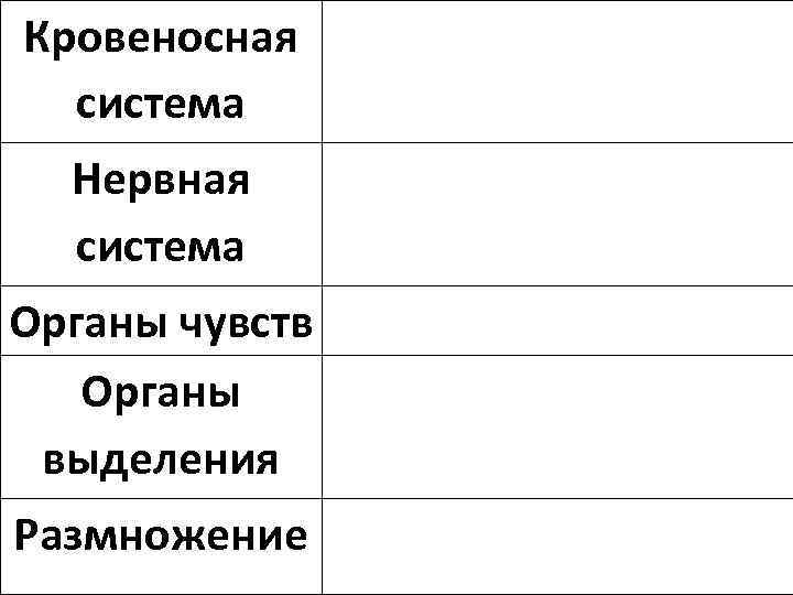 Кровеносная  система  Нервная  система Органы чувств  Органы выделения Размножение 