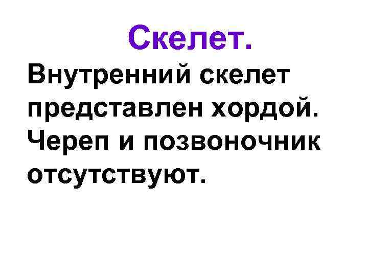  Скелет. Внутренний скелет представлен хордой. Череп и позвоночник отсутствуют. 