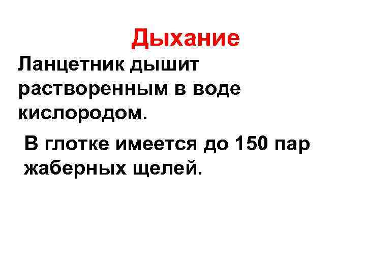    Дыхание Ланцетник дышит растворенным в воде кислородом. В глотке имеется до