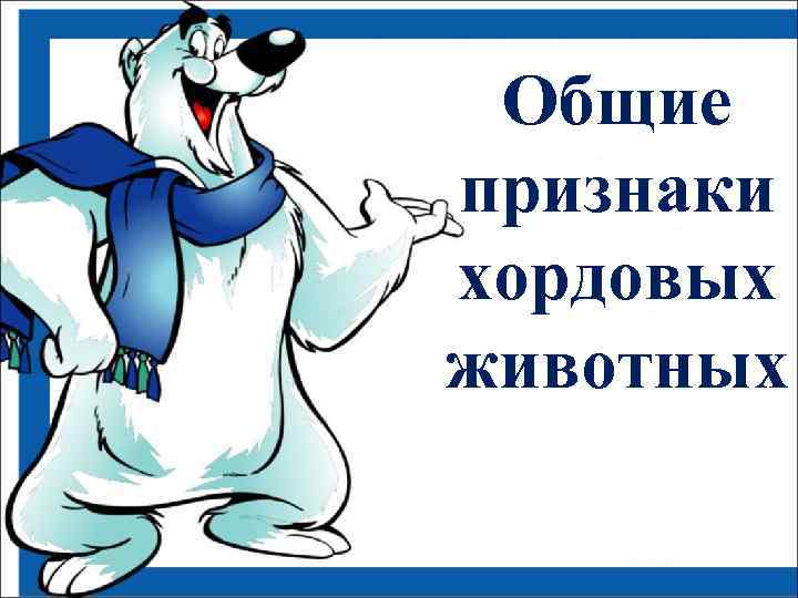  Общие признаки хордовых животных 