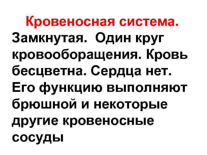  Кровеносная система. Замкнутая. Один круг кровооборащения. Кровь бесцветна. Сердца нет. Его функцию выполняют