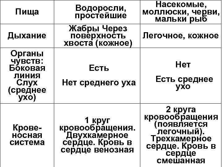     Водоросли,   Насекомые,  Пища   простейшие моллюски,