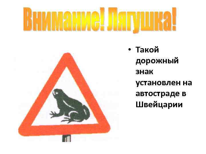  • Такой  дорожный  знак  установлен на  автостраде в 