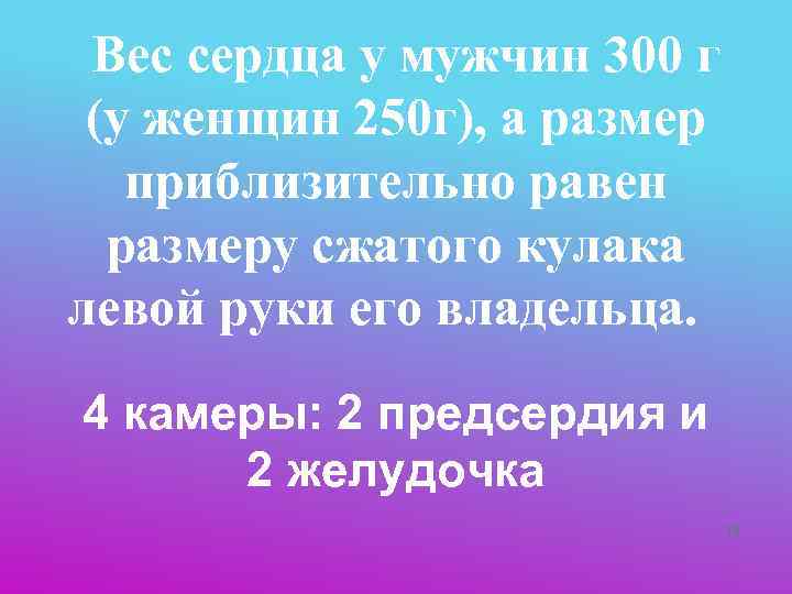  Вес сердца у мужчин 300 г   (у женщин 250 г), а
