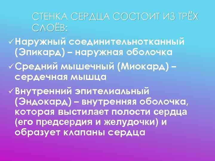  СТЕНКА СЕРДЦА СОСТОИТ ИЗ ТРЁХ СЛОЁВ: ü Наружный соединительнотканный  (Эпикард) – наружная