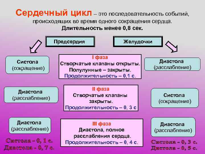  Сердечный цикл – это последовательность событий,   происходящих во время одного сокращения