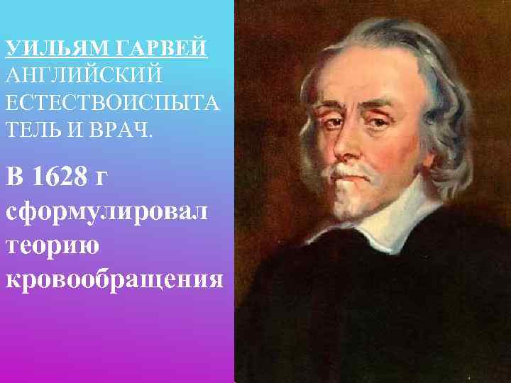 УИЛЬЯМ ГАРВЕЙ АНГЛИЙСКИЙ ЕСТЕСТВОИСПЫТА ТЕЛЬ И ВРАЧ.  В 1628 г сформулировал теорию кровообращения