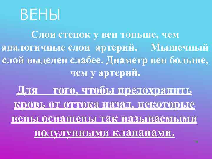   ВЕНЫ  Слои стенок у вен тоньше, чем аналогичные слои артерий. Мышечный