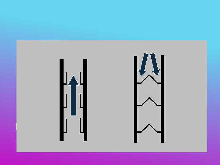 РАБОТА ВЕНОЗНЫХ КЛАПАНОВ      75 