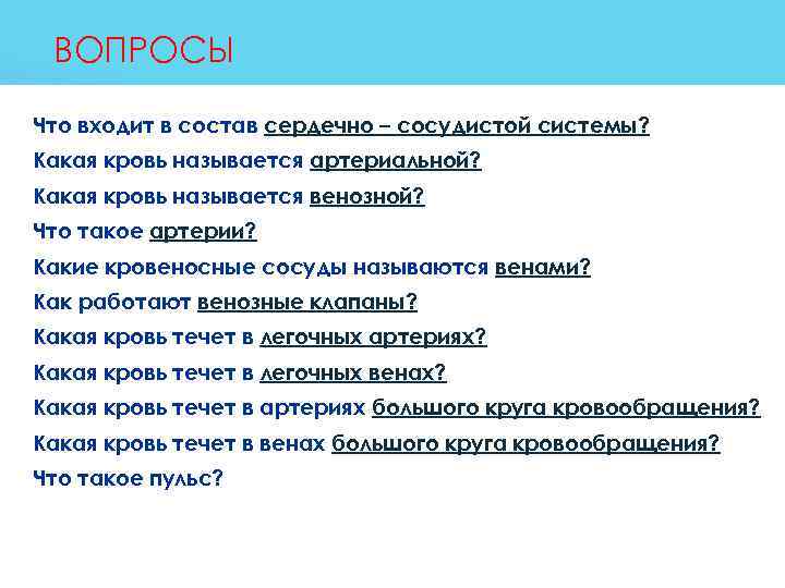  ВОПРОСЫ q  Что входит в состав сердечно – сосудистой системы? q 