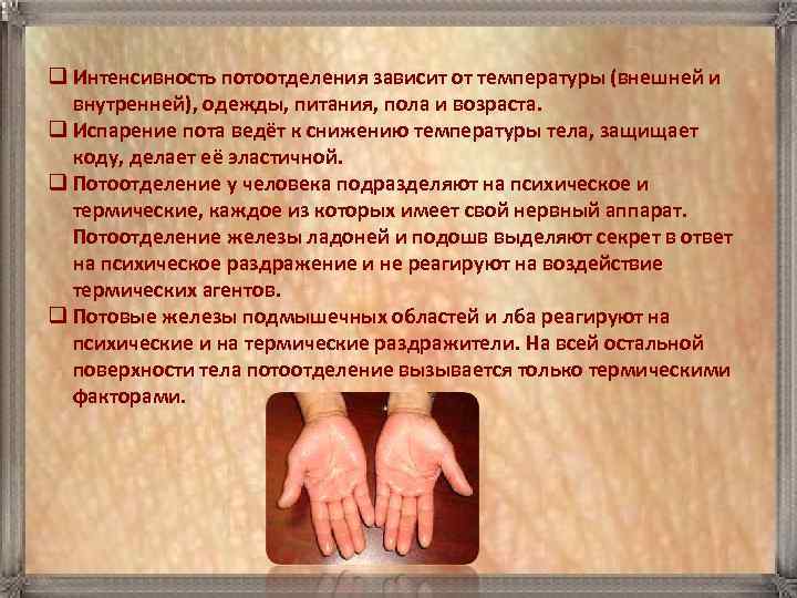 q Интенсивность потоотделения зависит от температуры (внешней и  внутренней), одежды, питания, пола и