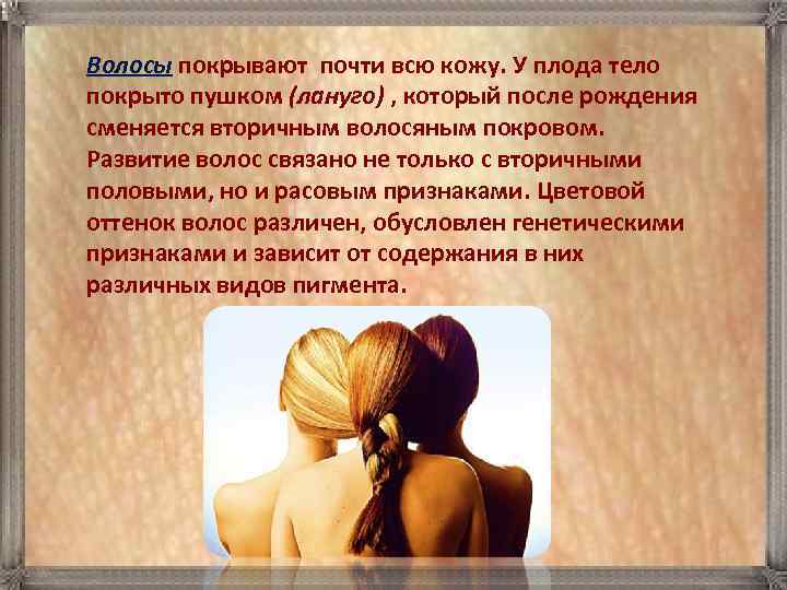 Волосы покрывают почти всю кожу. У плода тело покрыто пушком (лануго) , который после
