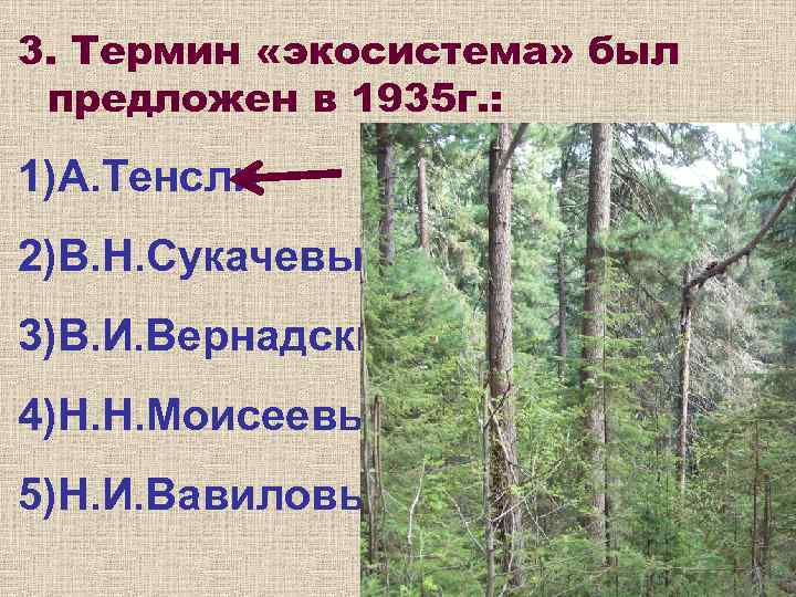 3. Термин «экосистема» был предложен в 1935 г. :  1)А. Тенсли 2)В. Н.