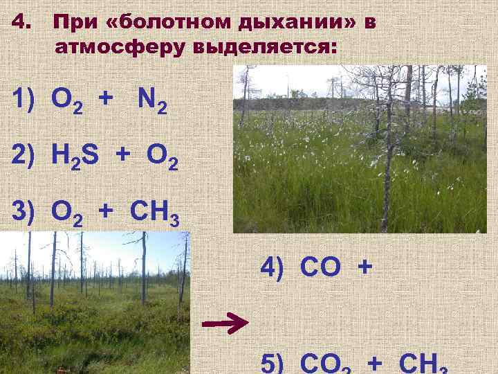 4.  При «болотном дыхании» в атмосферу выделяется:  1) O 2 + N