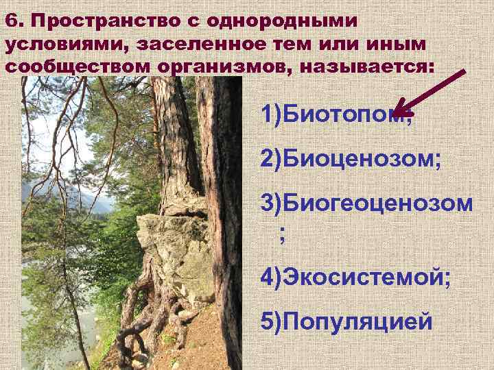 6. Пространство с однородными условиями, заселенное тем или иным сообществом организмов, называется:  