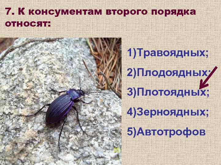 7. К консументам второго порядка относят:    1)Травоядных;    