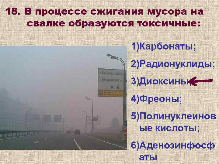 18. В процессе сжигания мусора на свалке образуются токсичные:    1)Карбонаты; 