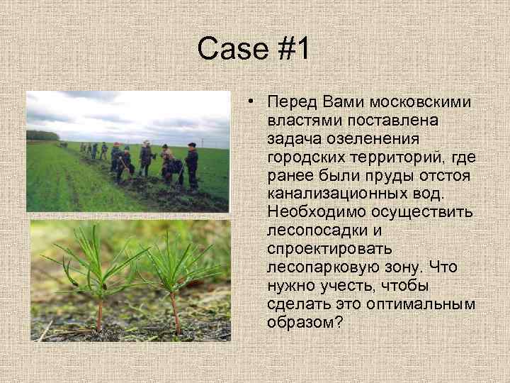 Case #1 • Перед Вами московскими властями поставлена задача озеленения городских территорий, где ранее