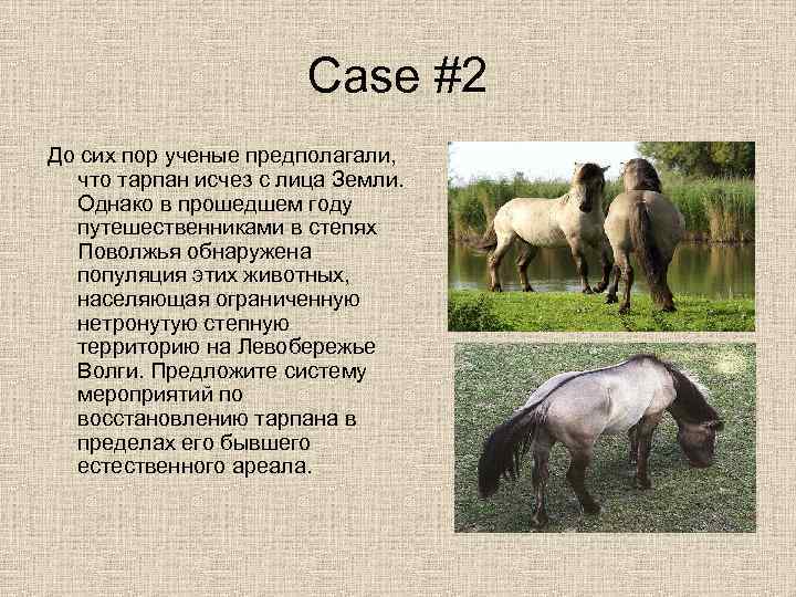    Case #2 До сих пор ученые предполагали,  что тарпан