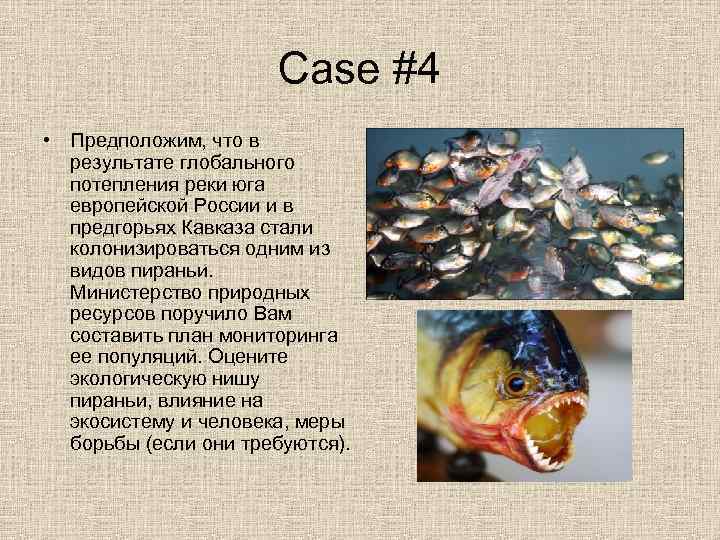      Case #4 • Предположим, что в  результате глобального