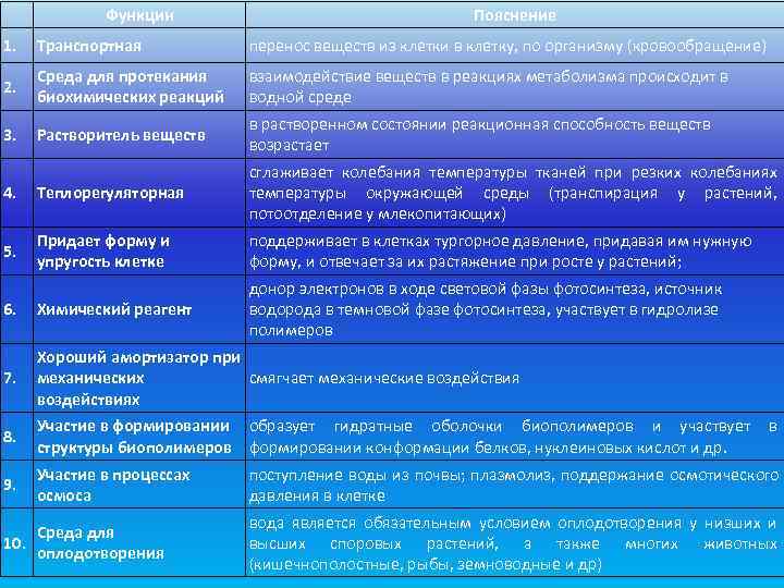    Функции       Пояснение 1.  Транспортная
