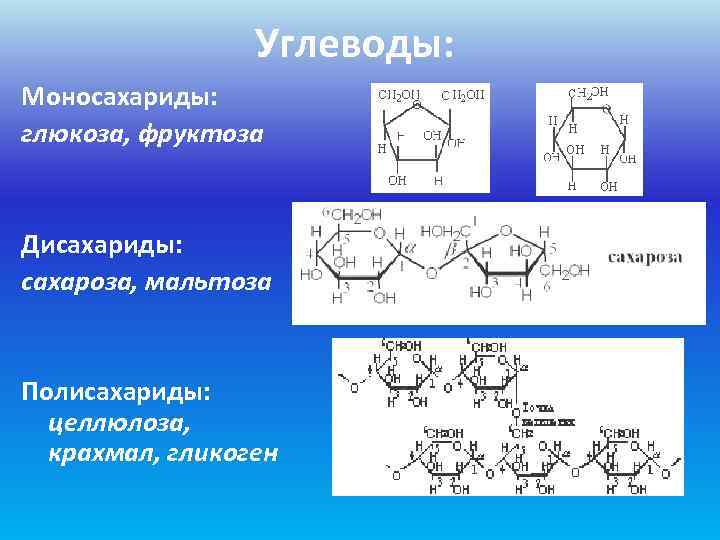    Углеводы: Моносахариды: глюкоза, фруктоза  Дисахариды: сахароза, мальтоза  Полисахариды: 