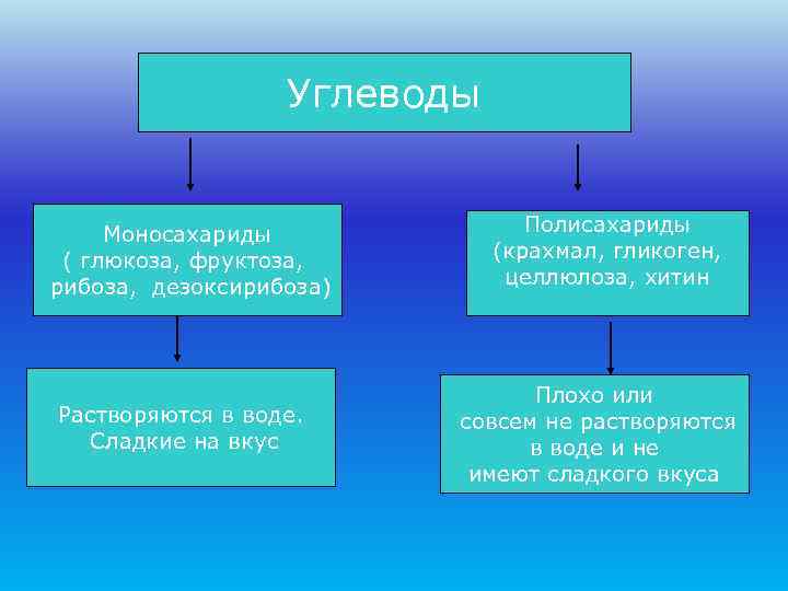    Углеводы  Моносахариды    Полисахариды ( глюкоза, фруктоза, 