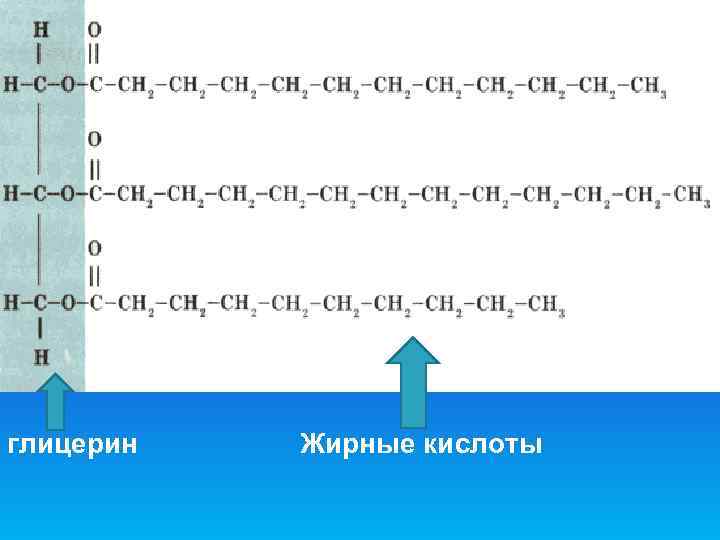 глицерин  Жирные кислоты 