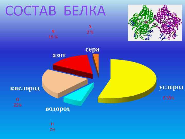 СОСТАВ БЕЛКА    S   N 2%  15 % 