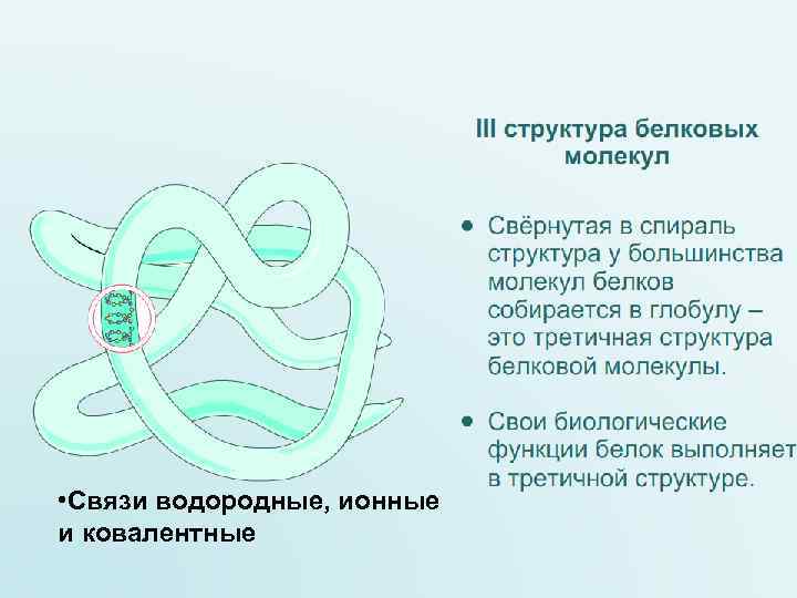  • Связи водородные, ионные и ковалентные 