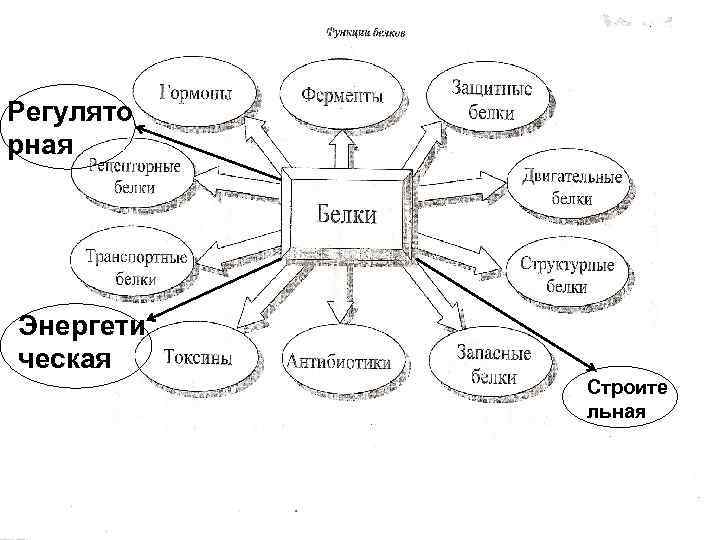 Регулято рная Энергети ческая  Строите  льная 