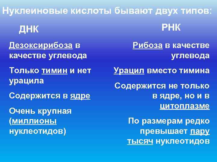 Нуклеиновые кислоты бывают двух типов: ДНК      РНК Дезоксирибоза в