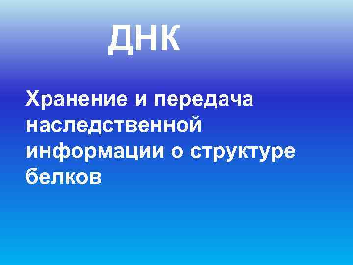  ДНК Хранение и передача наследственной информации о структуре белков 