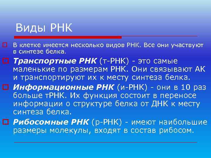   Виды РНК o В клетке имеется несколько видов РНК. Все они участвуют