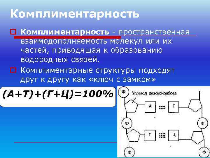 Комплиментарность o Комплиментарность - пространственная  взаимодополняемость молекул или их  частей, приводящая