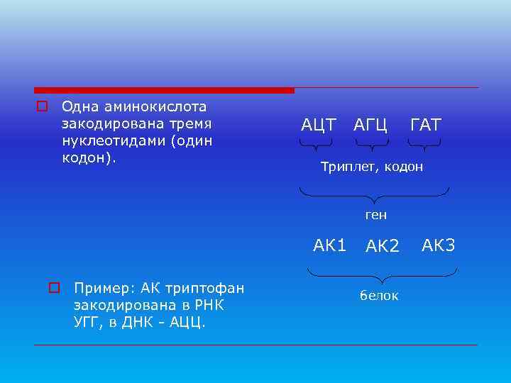 o Одна аминокислота  закодирована тремя АЦТ  АГЦ ГАТ  нуклеотидами (один 
