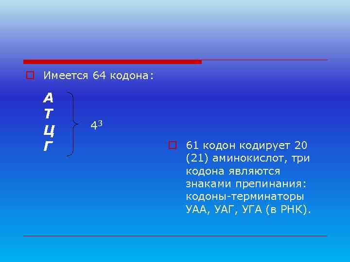o Имеется 64 кодона: А  Т  Ц  43  Г 