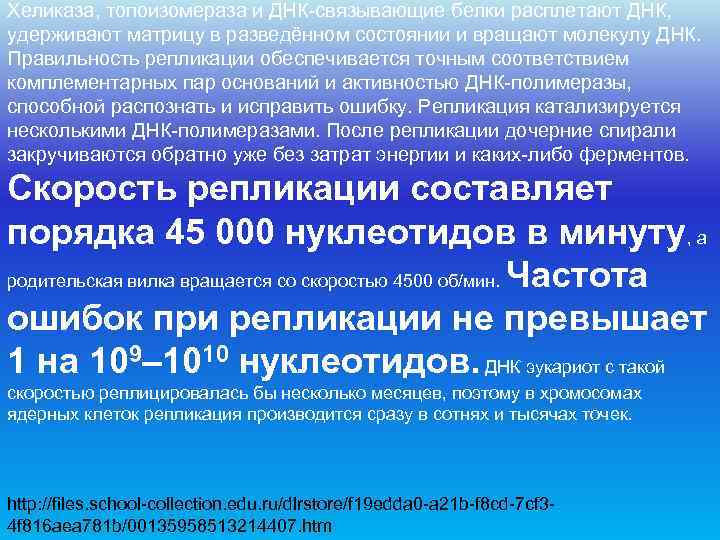 Хеликаза, топоизомераза и ДНК-связывающие белки расплетают ДНК, удерживают матрицу в разведённом состоянии и вращают