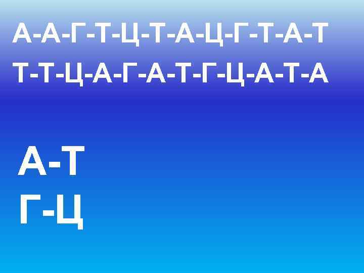 А-А-Г-Т-Ц-Т-А-Ц-Г-Т-А-Т Т-Т-Ц-А-Г-А-Т-Г-Ц-А-Т-А  А-Т Г-Ц 