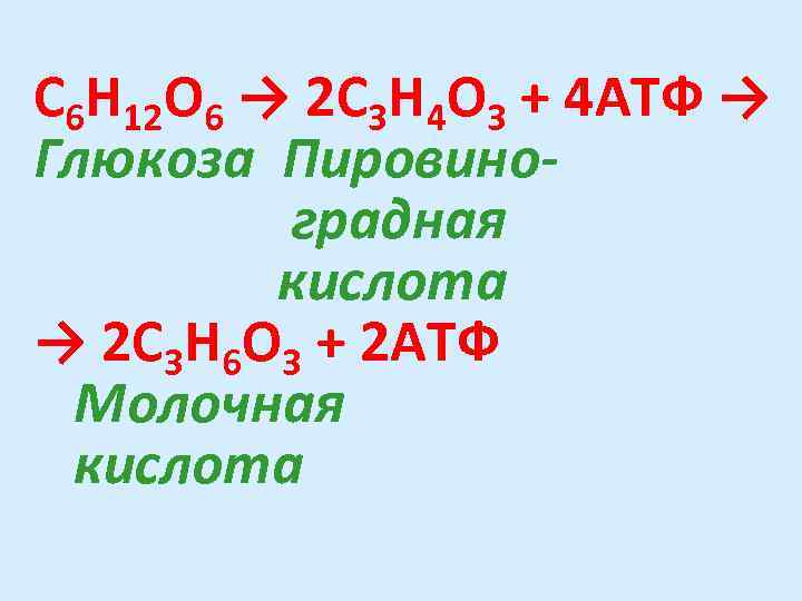 С 6 Н 12 О 6 → 2 С 3 Н 4 О 3