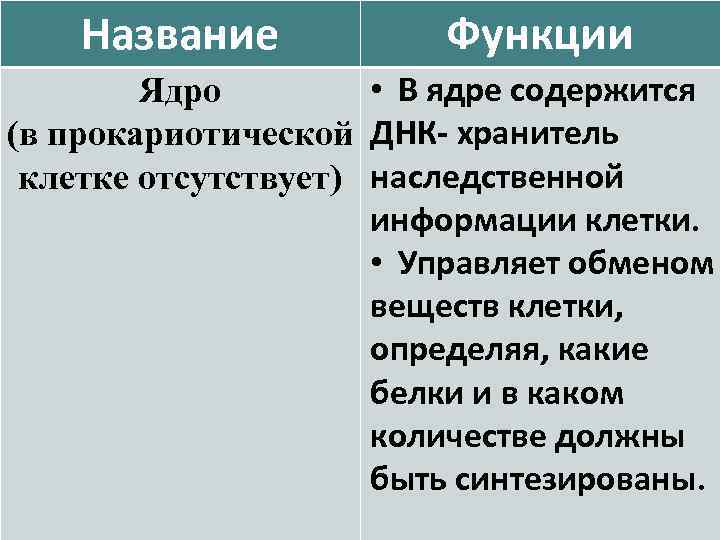   Название  Функции   Ядро   • В ядре содержится