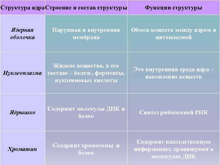 Структура и функции действия