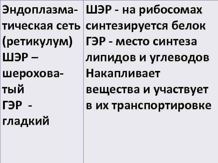 Эндоплазма- ШЭР - на рибосомах тическая сеть  синтезируется белок (ретикулум) ГЭР - место