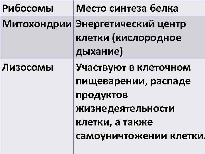Рибосомы  Место синтеза белка Митохондрии Энергетический центр   клетки (кислородное  