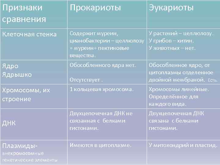 Признаки    Прокариоты    Эукариоты сравнения Клеточная стенка  Содержит
