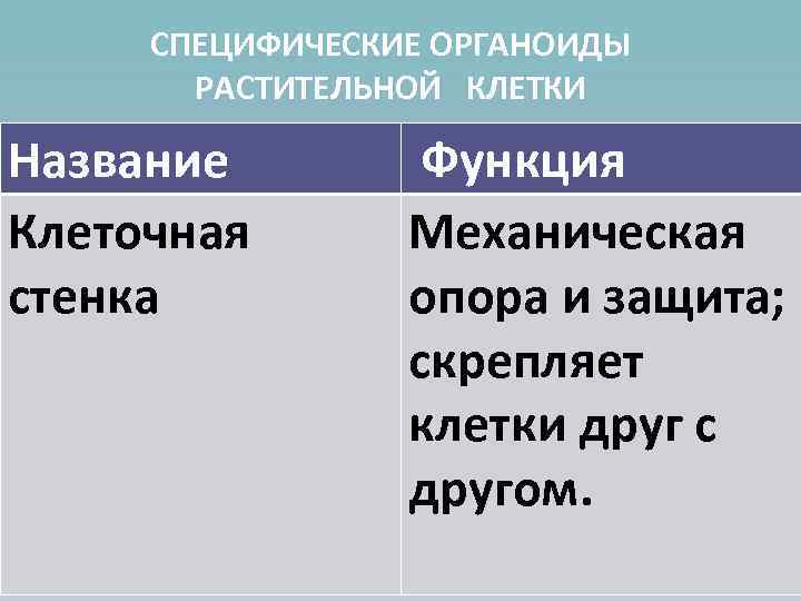  СПЕЦИФИЧЕСКИЕ ОРГАНОИДЫ  РАСТИТЕЛЬНОЙ КЛЕТКИ Название   Функция Клеточная  Механическая стенка