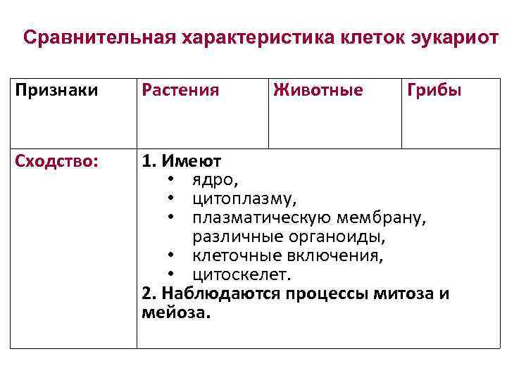 Сравнительная характеристика клеток эукариот Признаки  Растения Животные Грибы  Сходство:  1. Имеют