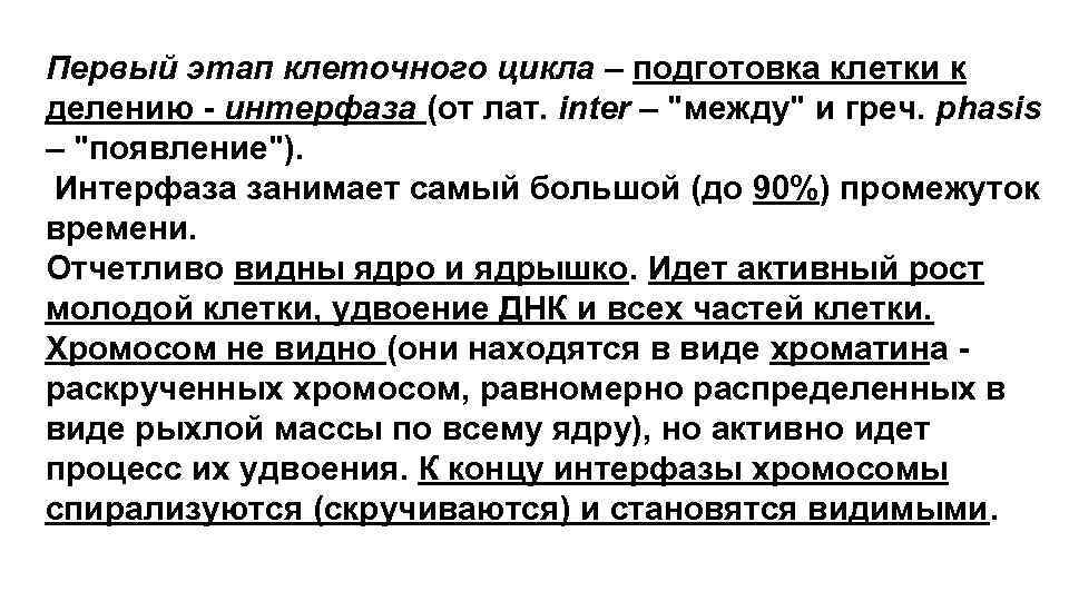 Первый этап клеточного цикла – подготовка клетки к делению - интерфаза (от лат. inter Первый этап клеточного цикла – подготовка клетки к делению - интерфаза (от лат. inter