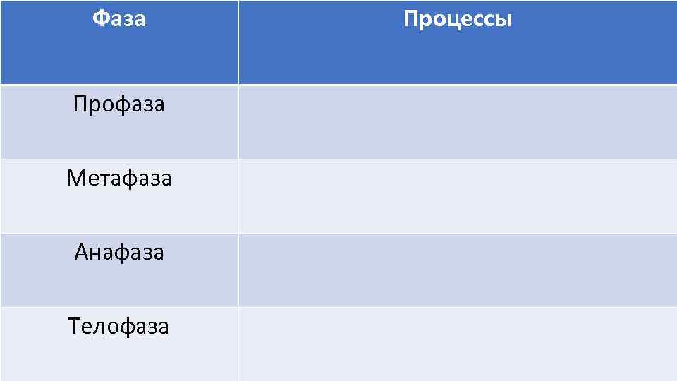 Фаза Процессы Профаза Метафаза Анафаза Телофаза Фаза Процессы Профаза Метафаза Анафаза Телофаза